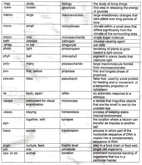 biology heters|Complete List of Biology Terms .